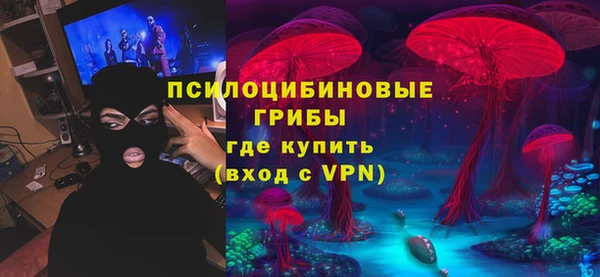 сатива Новокубанск