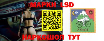 прущие грибы Краснокаменск