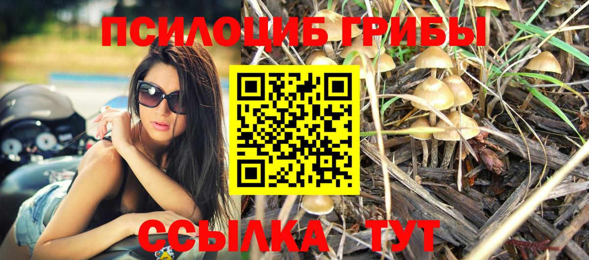 Галлюциногенные грибы Cubensis Печора