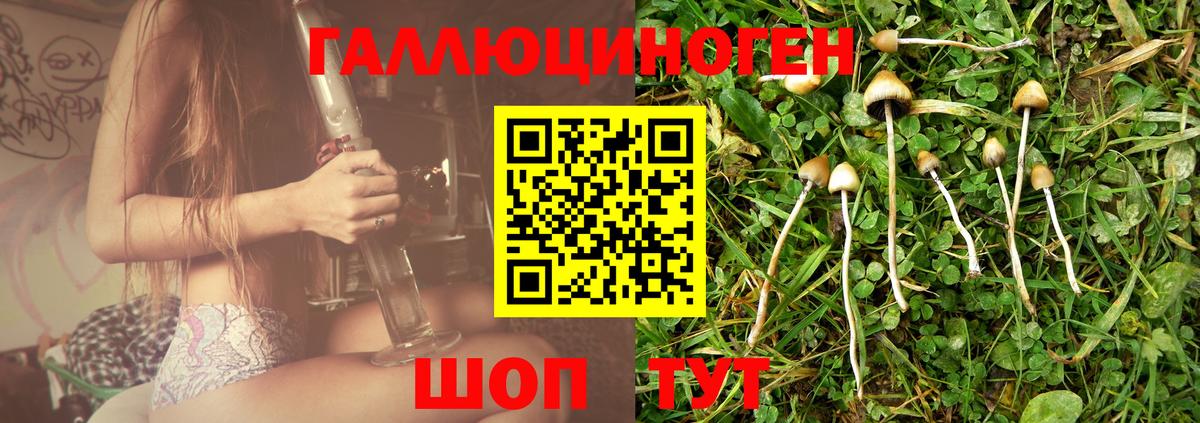 Галлюциногенные грибы GOLDEN TEACHER  Галлюциногенные грибы прущие грибы  Вход с VPN  Печора 